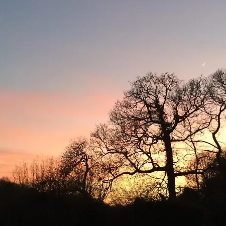 Willow Valley Glamping * Bude